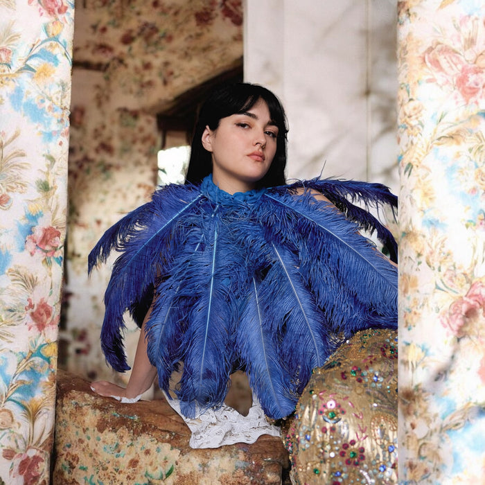 Angel, 20s Austrich feather cobalt blue cape